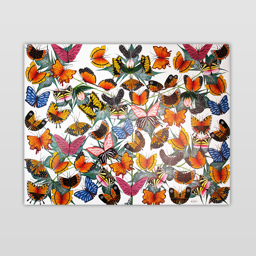 Butterfly Farm